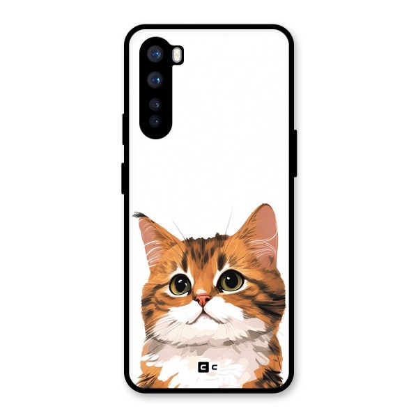 The Cute Cat Glass Back Case for OnePlus Nord