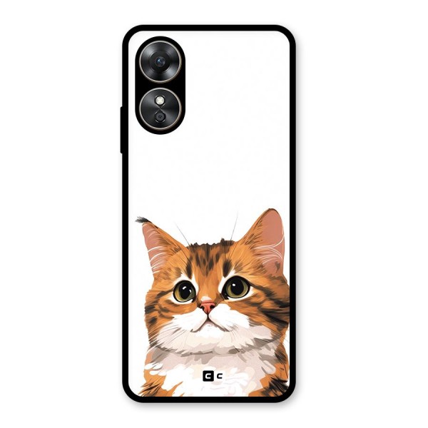 The Cute Cat Glass Back Case for Oppo A17