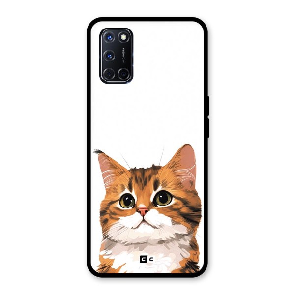 The Cute Cat Glass Back Case for Oppo A52