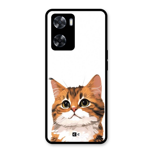 The Cute Cat Glass Back Case for Oppo A57 2022