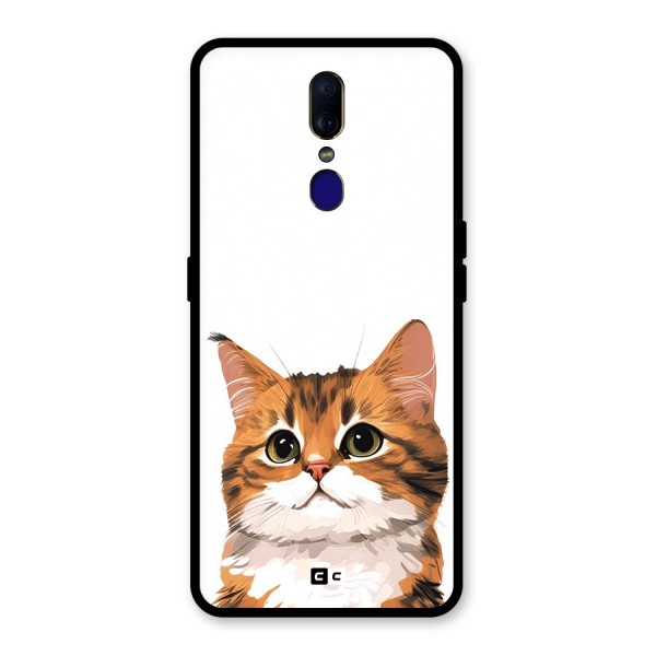 The Cute Cat Glass Back Case for Oppo F11