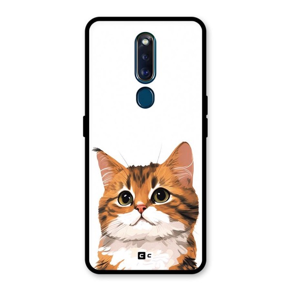 The Cute Cat Glass Back Case for Oppo F11 Pro