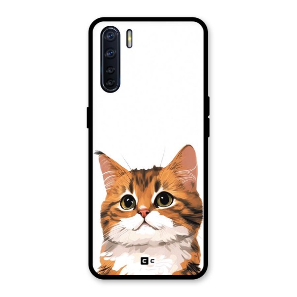 The Cute Cat Glass Back Case for Oppo F15