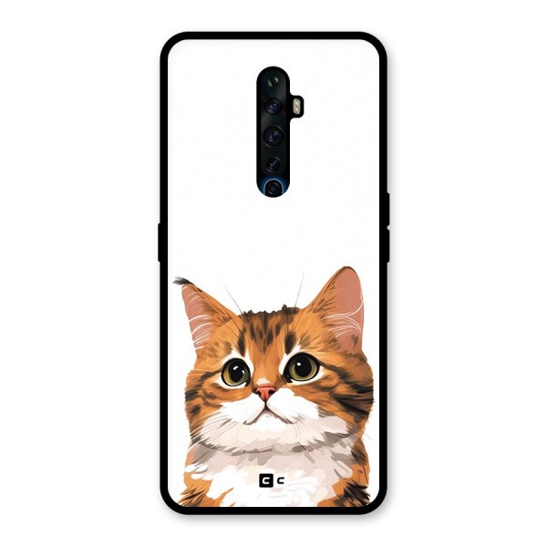 The Cute Cat Glass Back Case for Oppo Reno2 Z