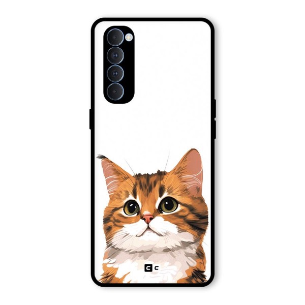 The Cute Cat Glass Back Case for Oppo Reno4 Pro