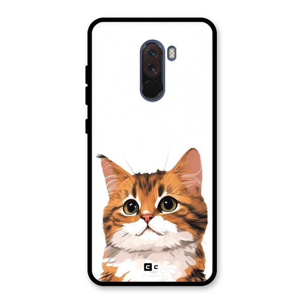 The Cute Cat Glass Back Case for Poco F1