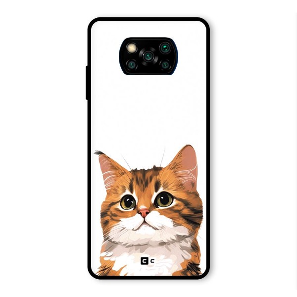 The Cute Cat Glass Back Case for Poco X3 Pro