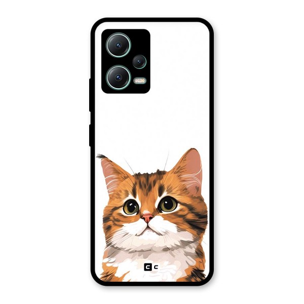 The Cute Cat Glass Back Case for Poco X5