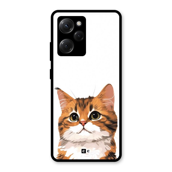 The Cute Cat Glass Back Case for Poco X5 Pro