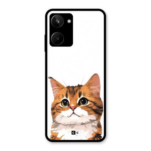 The Cute Cat Glass Back Case for Realme 10