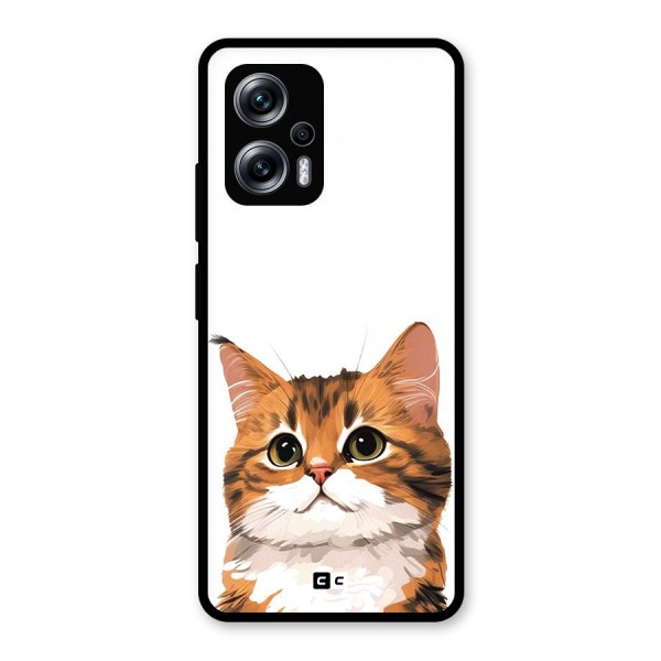 The Cute Cat Glass Back Case for Redmi K50i