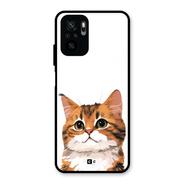 The Cute Cat Glass Back Case for Redmi Note 10