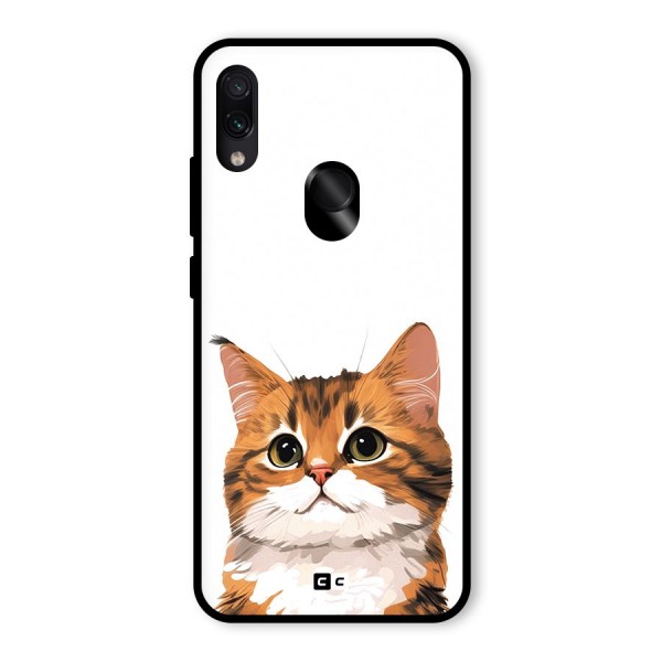 The Cute Cat Glass Back Case for Redmi Note 7