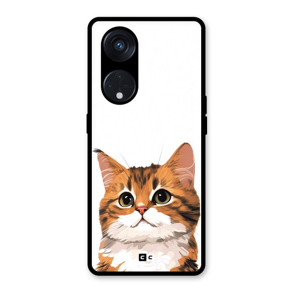 The Cute Cat Glass Back Case for Reno8 T 5G
