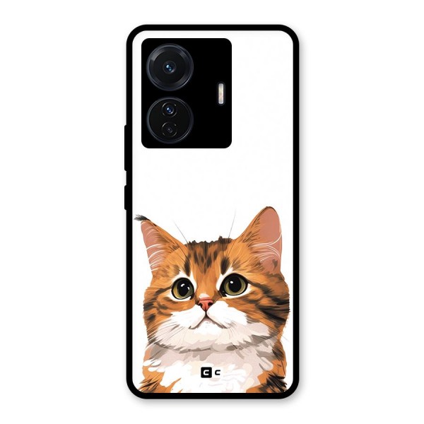 The Cute Cat Glass Back Case for Vivo T1 Pro