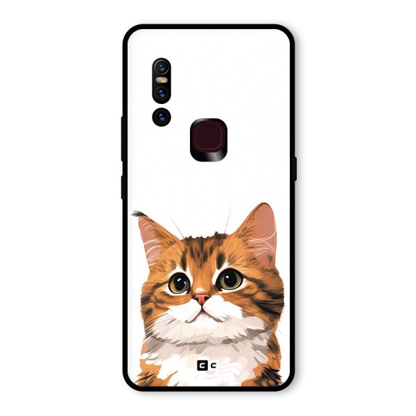 The Cute Cat Glass Back Case for Vivo V15