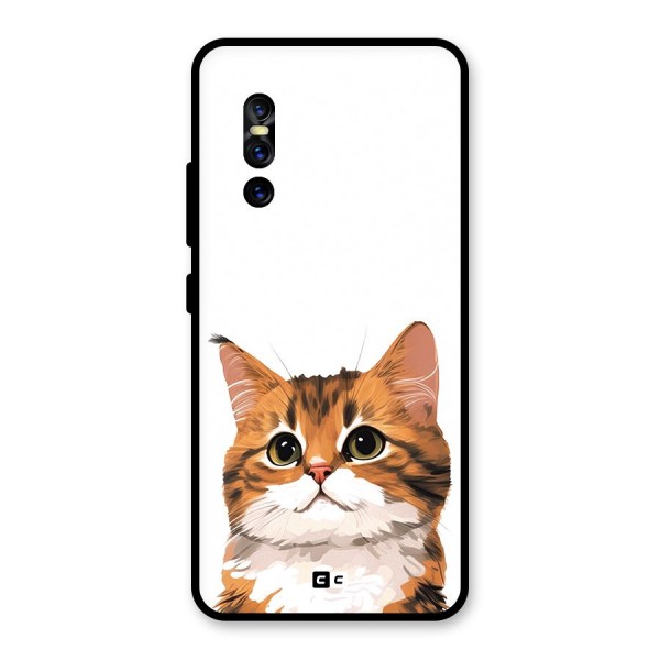 The Cute Cat Glass Back Case for Vivo V15 Pro