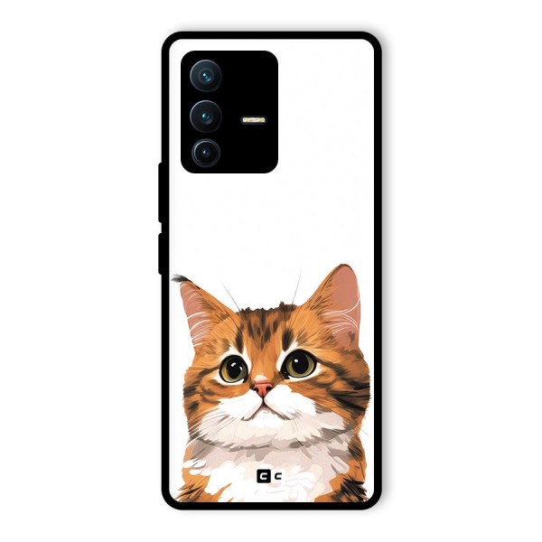 The Cute Cat Glass Back Case for Vivo V23 Pro