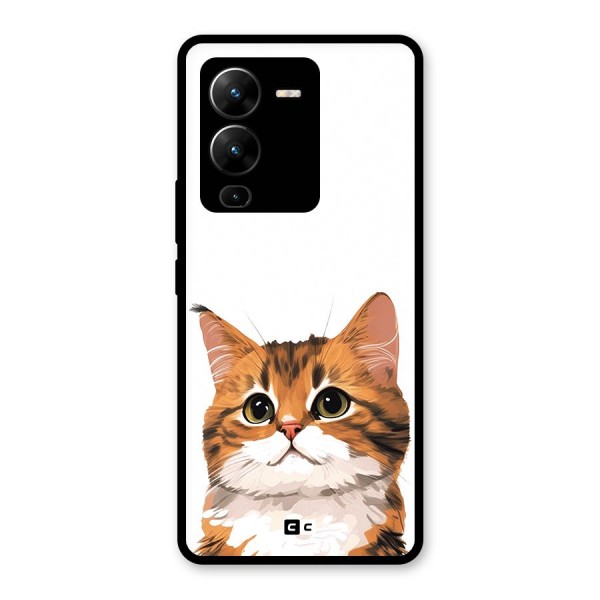 The Cute Cat Glass Back Case for Vivo V25 Pro