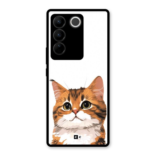 The Cute Cat Glass Back Case for Vivo V27 Pro