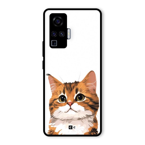 The Cute Cat Glass Back Case for Vivo X50 Pro