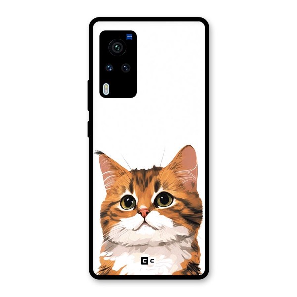 The Cute Cat Glass Back Case for Vivo X60 Pro