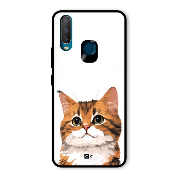 The Cute Cat Glass Back Case for Vivo Y15