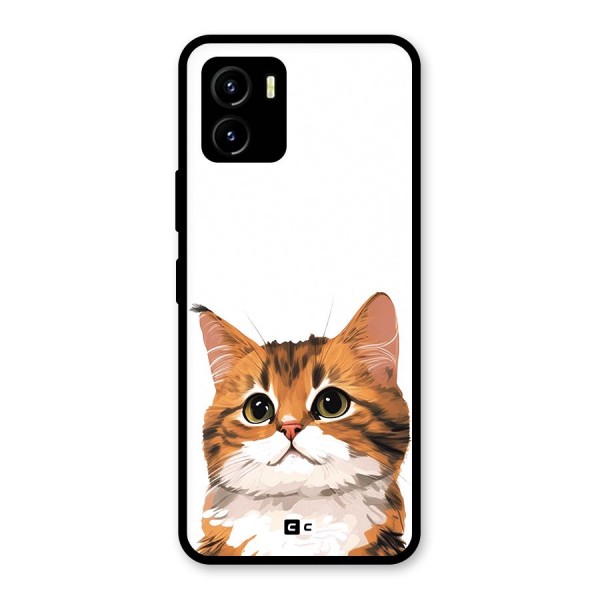 The Cute Cat Glass Back Case for Vivo Y15s