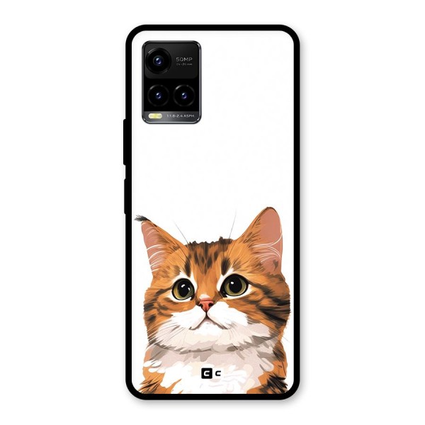 The Cute Cat Glass Back Case for Vivo Y21A