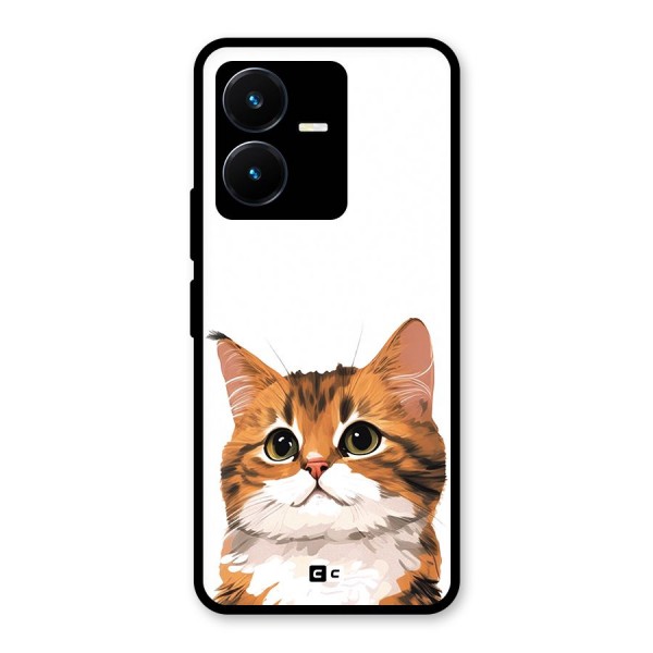 The Cute Cat Glass Back Case for Vivo Y22