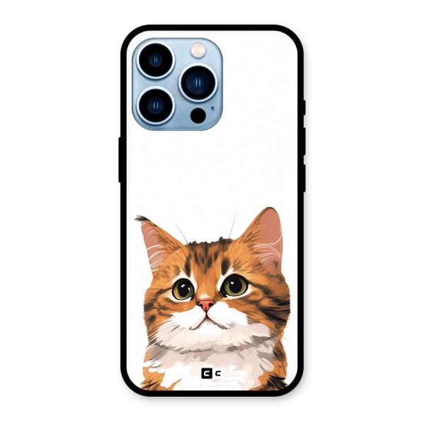 The Cute Cat Glass Back Case for iPhone 13 Pro