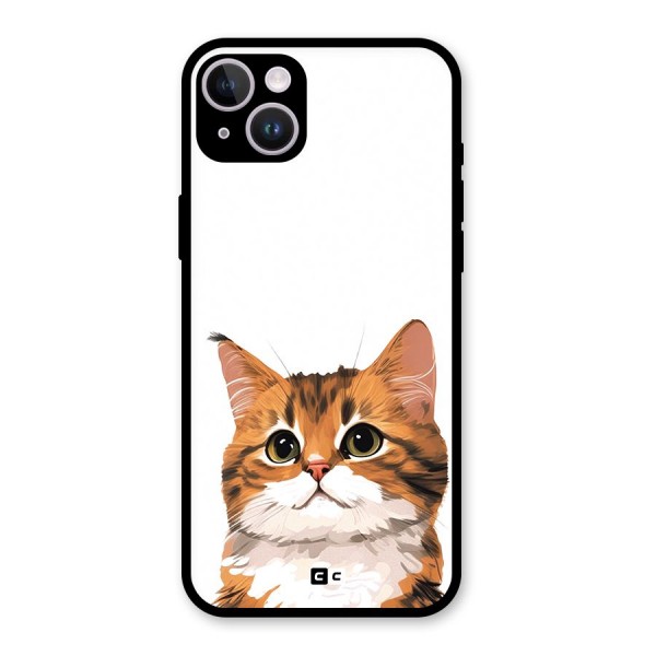 The Cute Cat Glass Back Case for iPhone 14 Plus