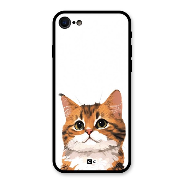 The Cute Cat Glass Back Case for iPhone SE 2020