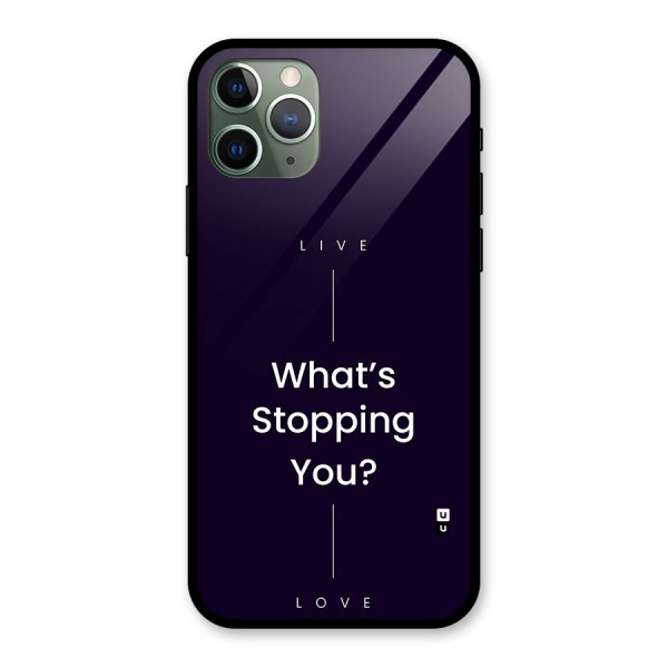 What Stopping You Glass Back Case for iPhone 11 Pro