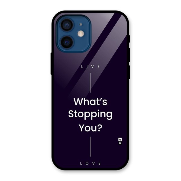 What Stopping You Glass Back Case for iPhone 12 Mini