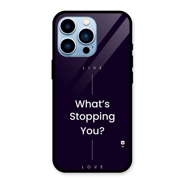 What Stopping You Glass Back Case for iPhone 13 Pro