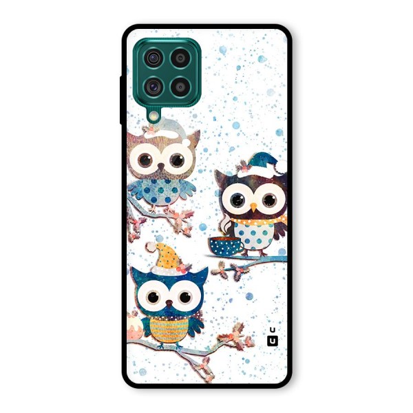 Winter Owls Glass Back Case for Galaxy F62