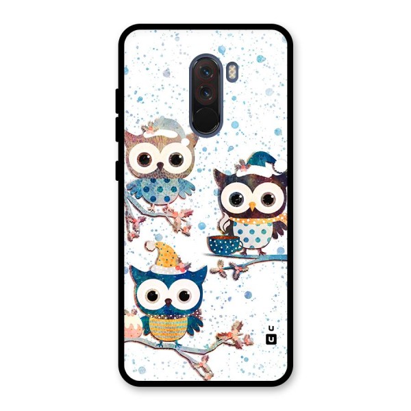 Winter Owls Glass Back Case for Poco F1