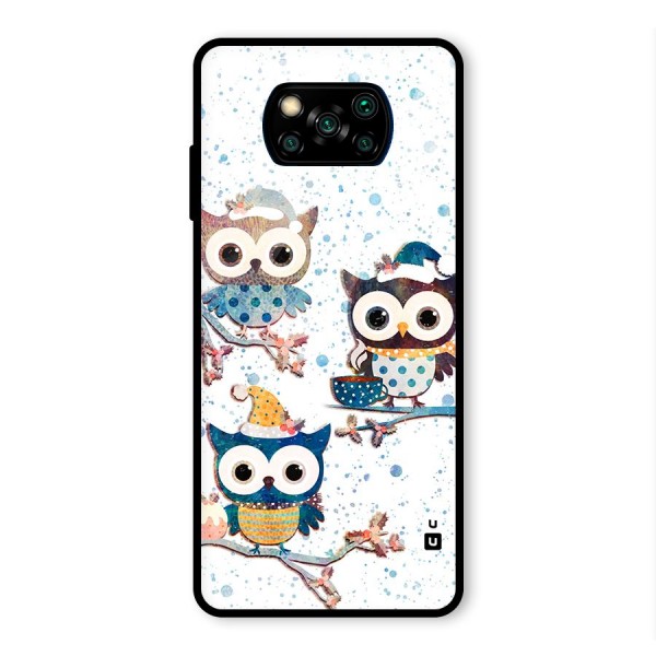 Winter Owls Glass Back Case for Poco X3 Pro