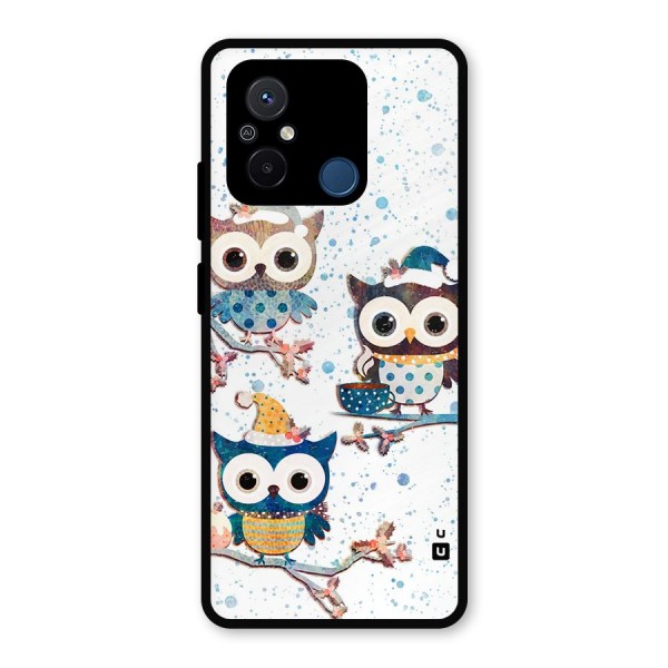 Winter Owls Metal Back Case for Poco C55