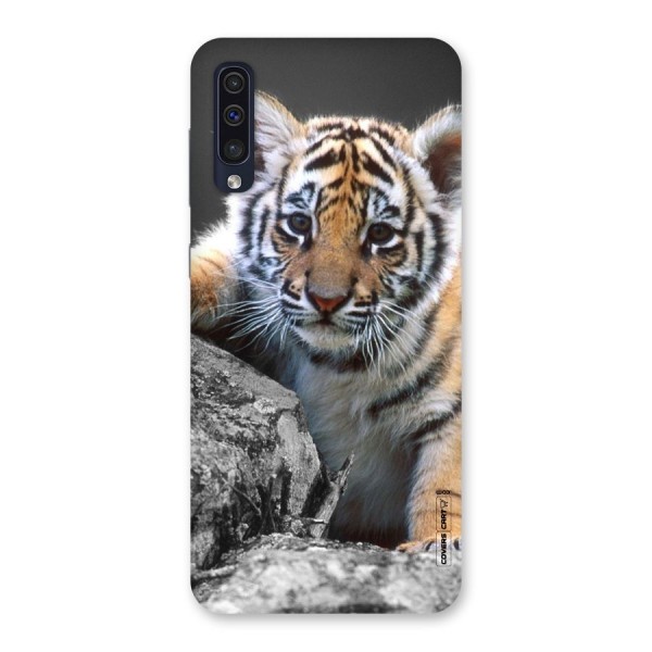 Animal Beauty Back Case for Galaxy A50