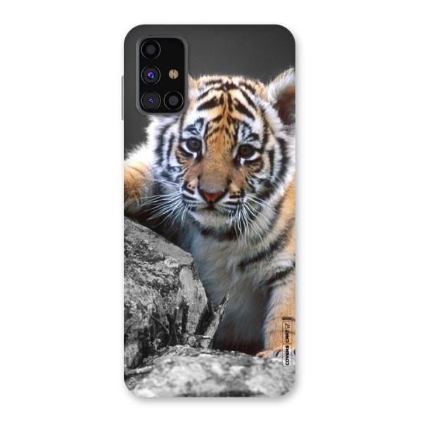 Animal Beauty Back Case for Galaxy M31s