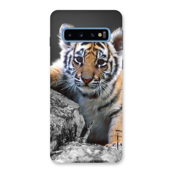 Animal Beauty Back Case for Galaxy S10