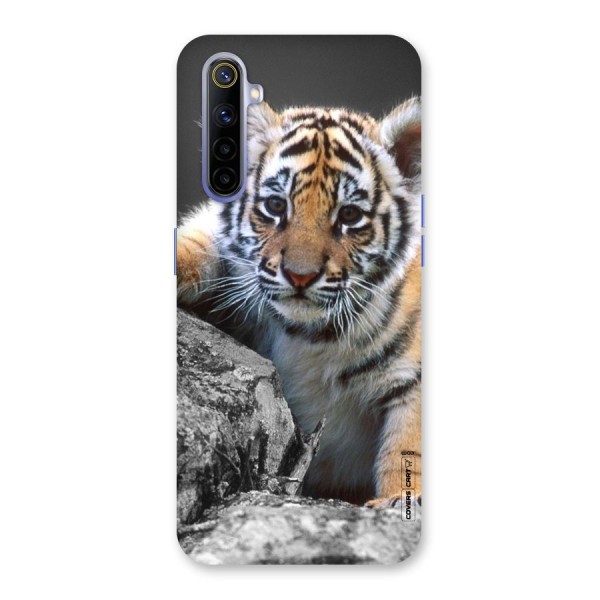 Animal Beauty Back Case for Realme 6