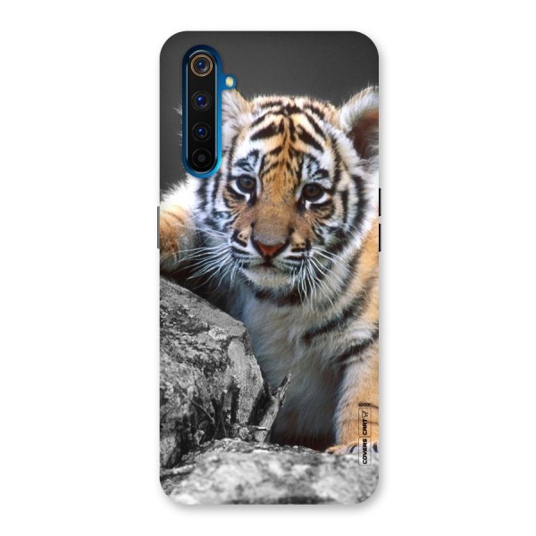 Animal Beauty Back Case for Realme 6 Pro