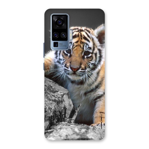 Animal Beauty Back Case for Vivo X50 Pro