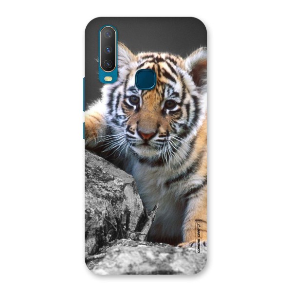 Animal Beauty Back Case for Vivo Y12