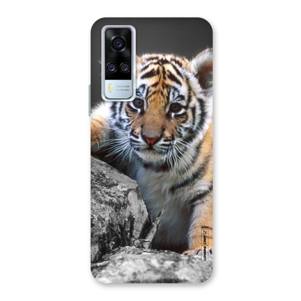 Animal Beauty Back Case for Vivo Y51A