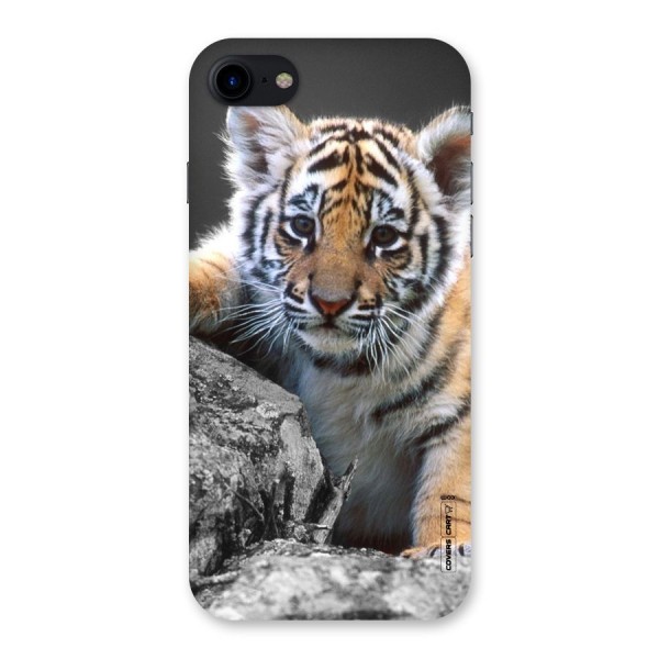 Animal Beauty Back Case for iPhone SE 2020