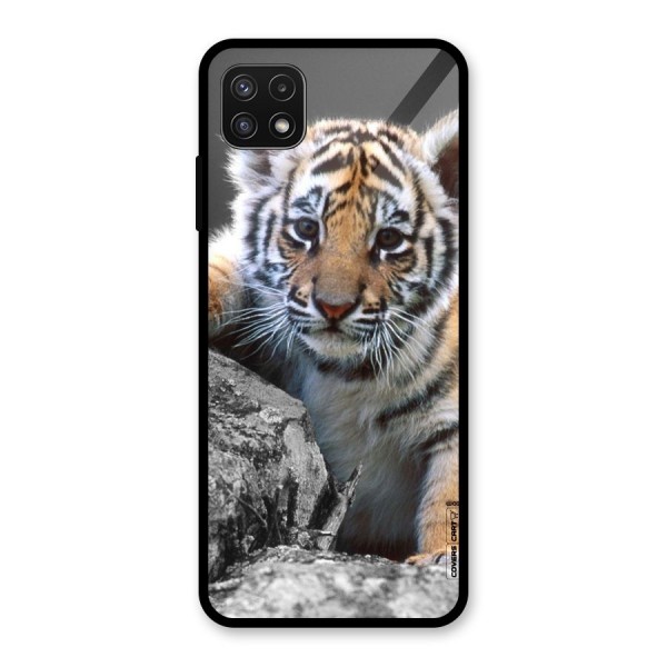 Animal Beauty Glass Back Case for Galaxy A22 5G